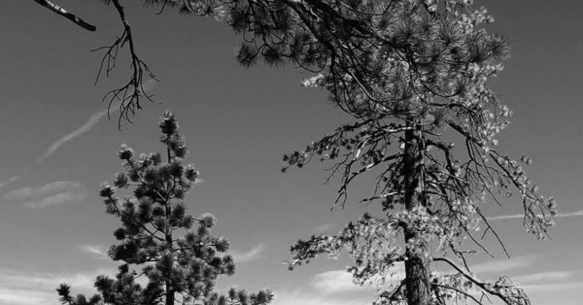 Yosemite Cliffside by Jack Hoye