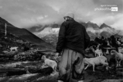 Shepherd of the Mountains by Aakash Gulzar