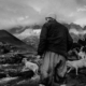 Shepherd of the Mountains by Aakash Gulzar