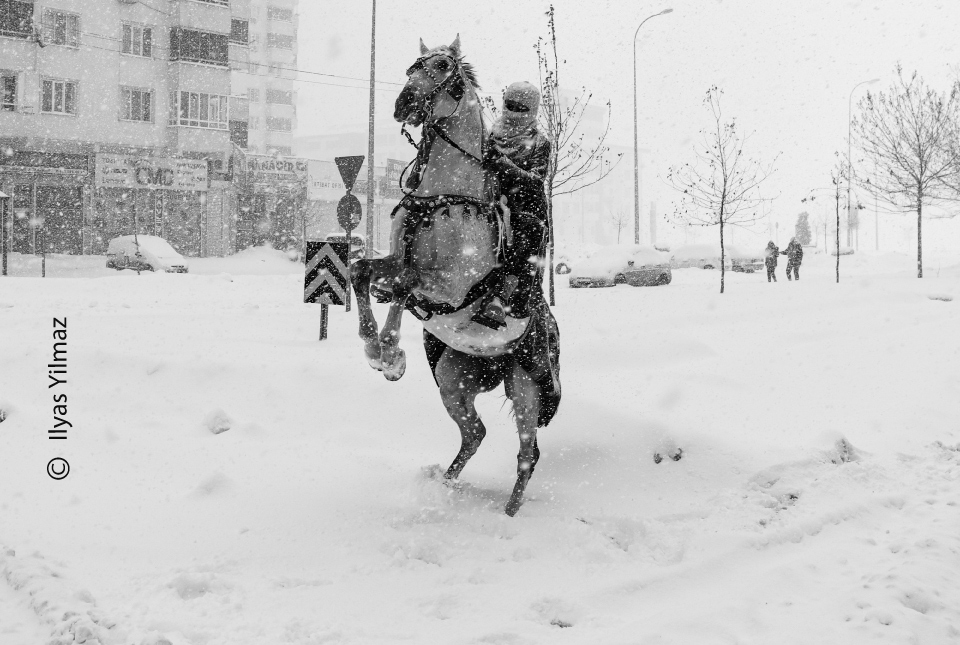 A Horseman by Ilyas Yilmaz