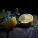 Just Lemon by Petrana Nedelcheva