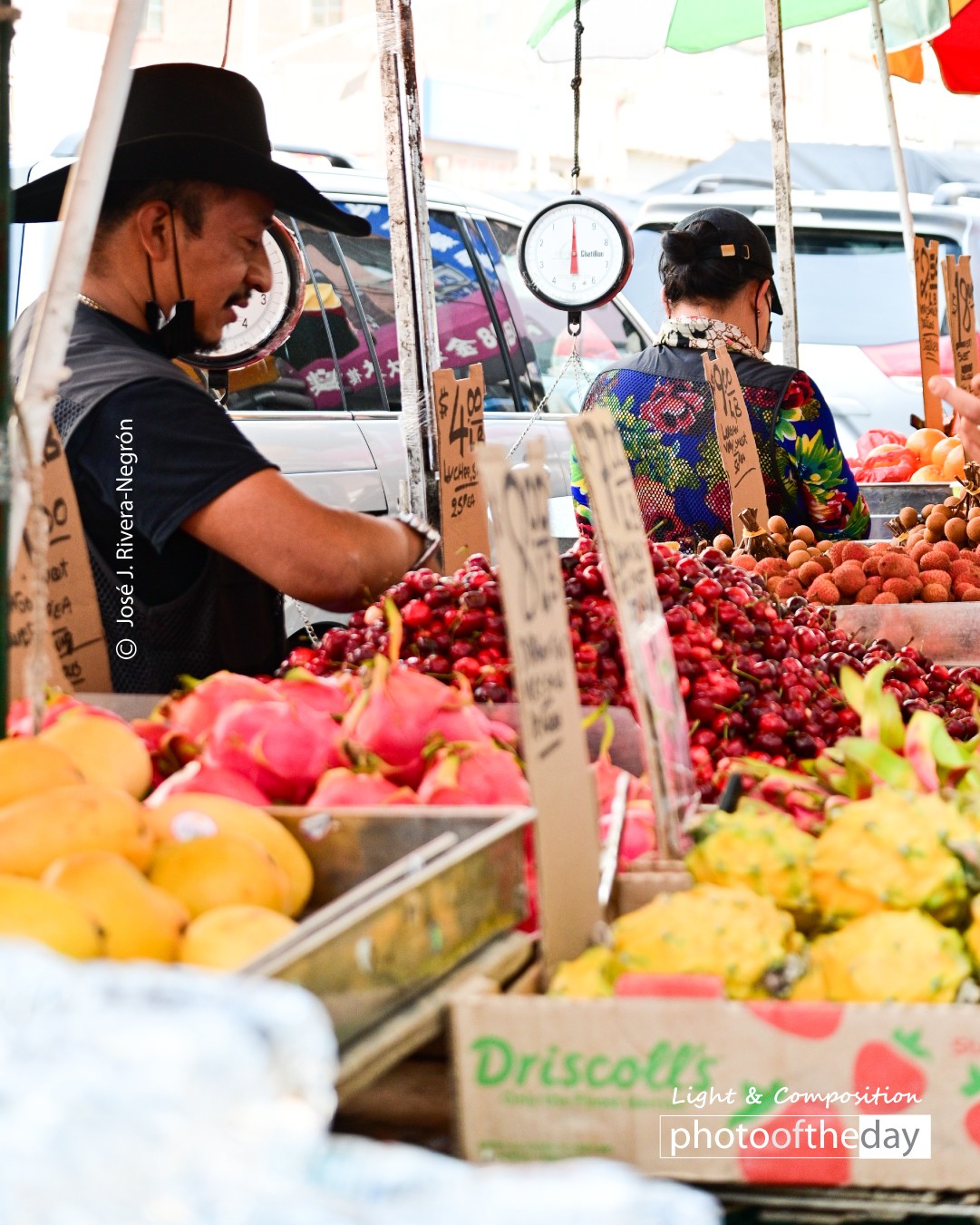 the joy of picking up fresh fruits by jose juniel rivera