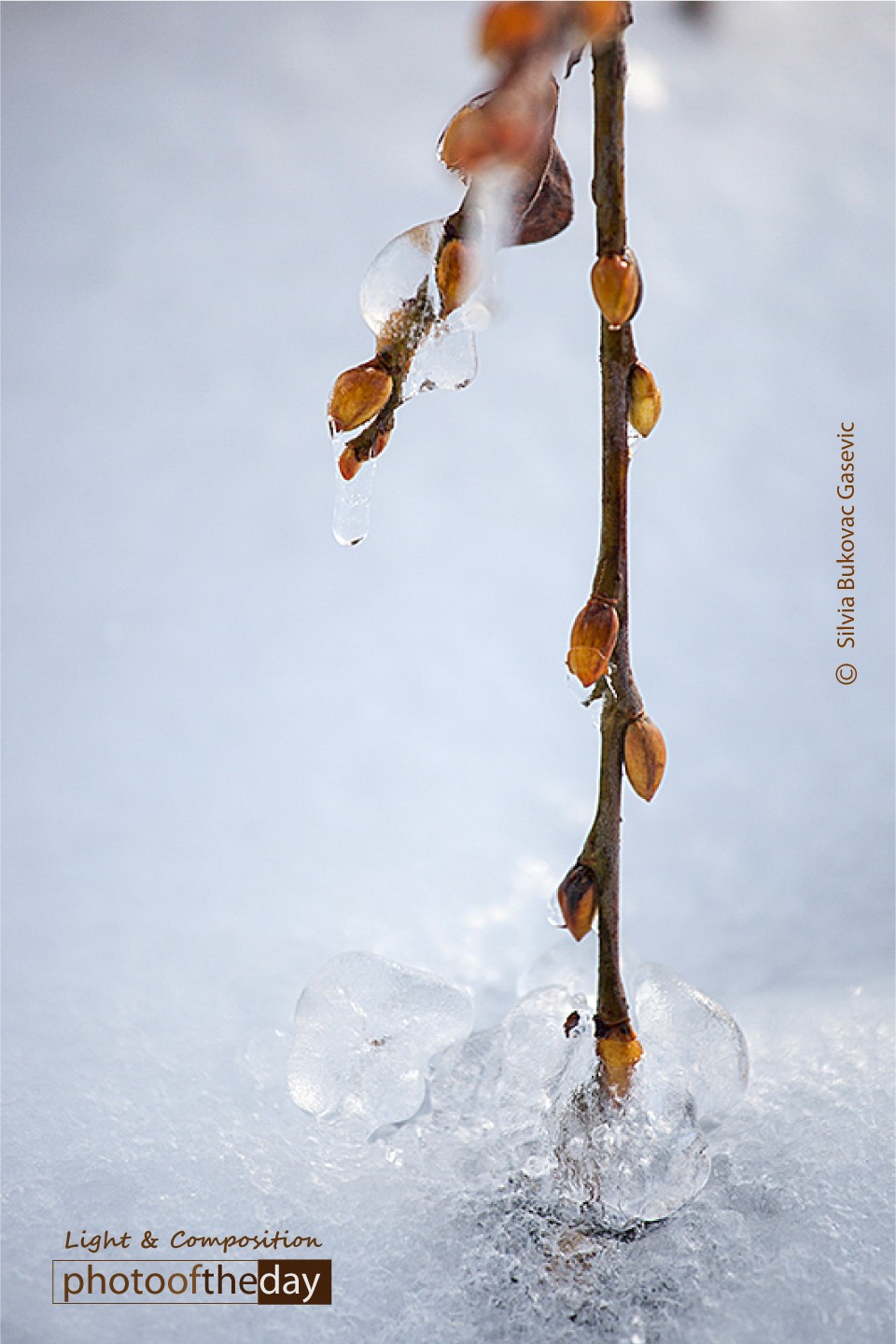 wintertime by silvia bukovac gasevic